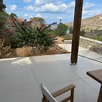 Delfini